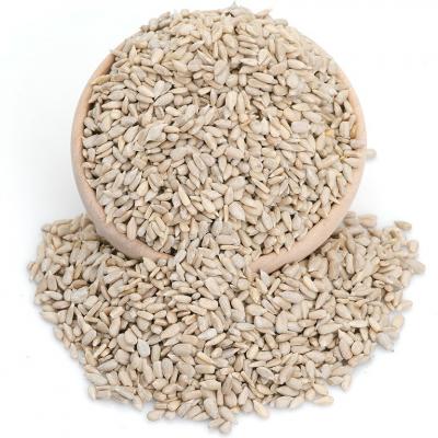 Ay Çekirdek İçi Toptan